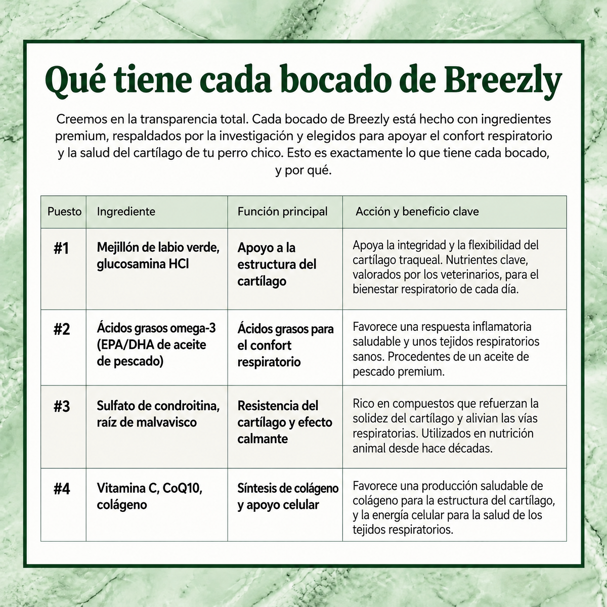 Bocados respiratorios para perros Breezly - BRZ-UY
