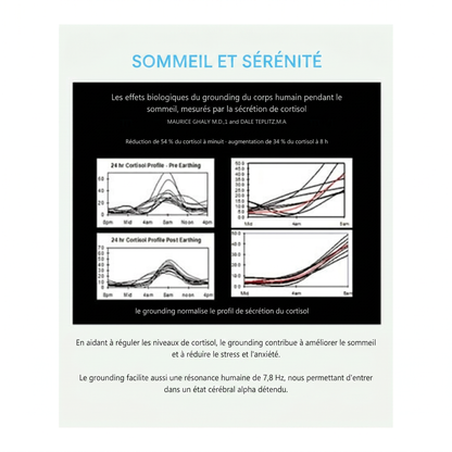 Chaussures de mise à la terre Grunnro™