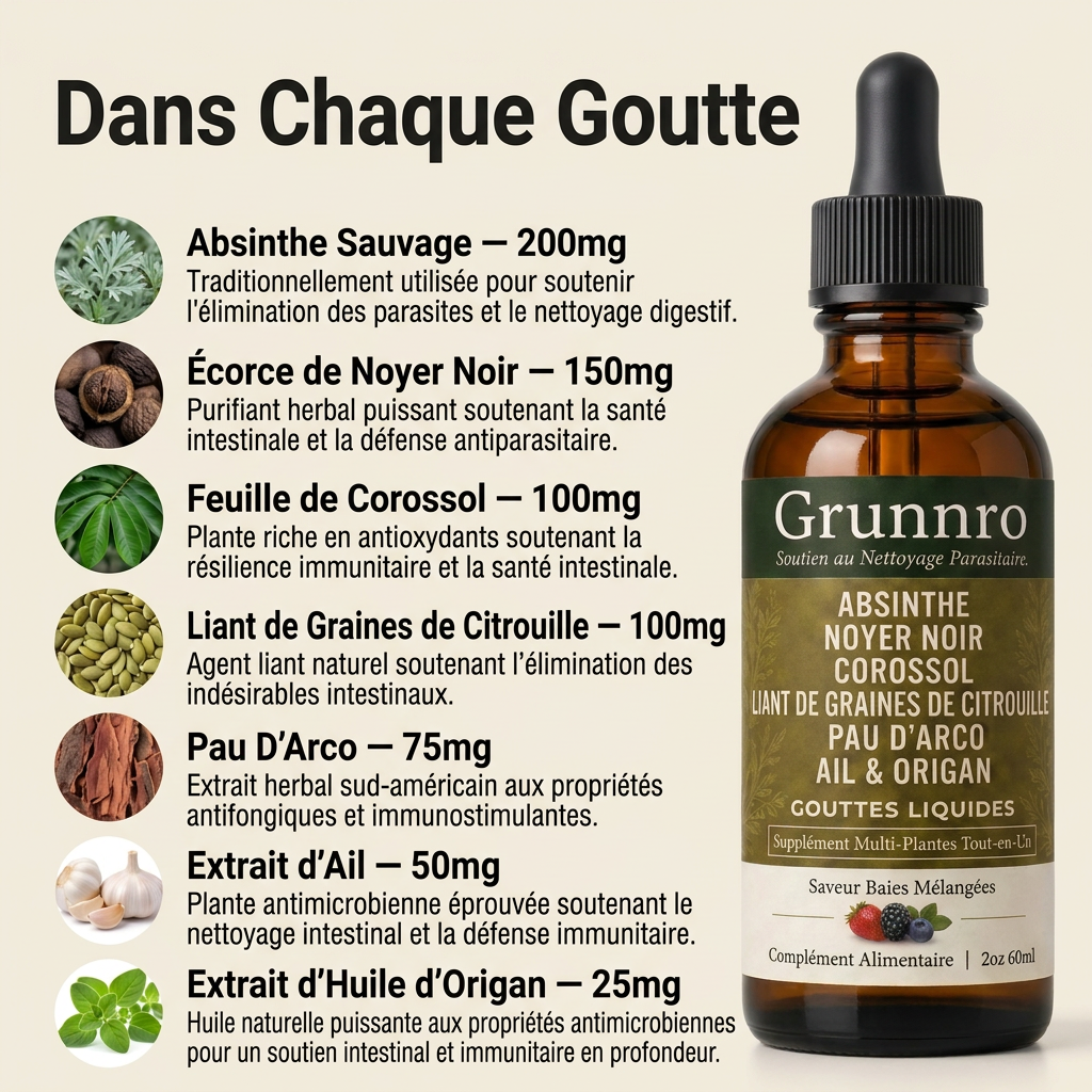 Gouttes à base d'absinthe sauvage Grunnro