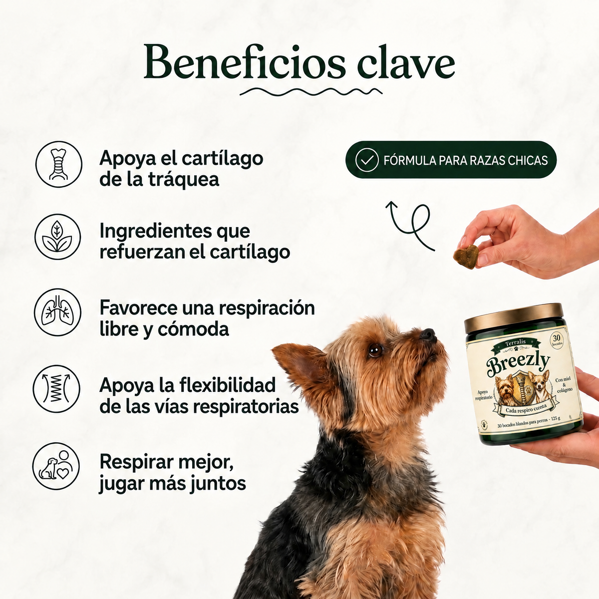 Bocados respiratorios para perros Breezly - BRZ-UY
