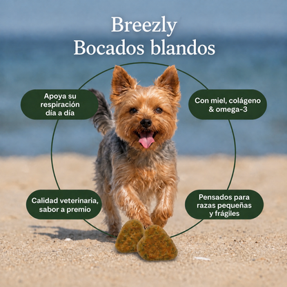 Bocados respiratorios para perros Breezly - BRZ-AR