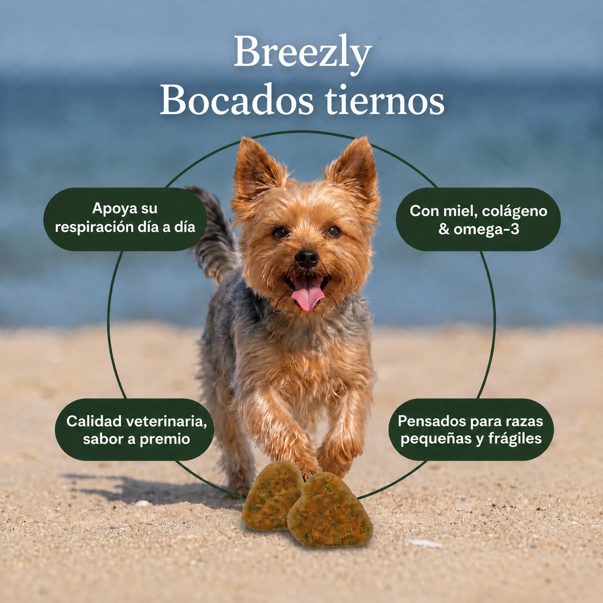 Bocados respiratorios para perros Breezly - BRZ-CR