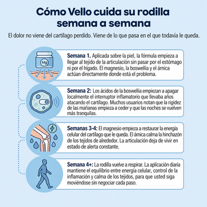 Gel frío de magnesio Vello - VLO-CR