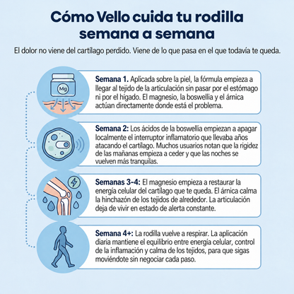Gel frío de magnesio Vello - VLO-AR