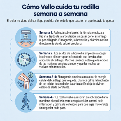 Gel frío de magnesio Vello - VLO-UY