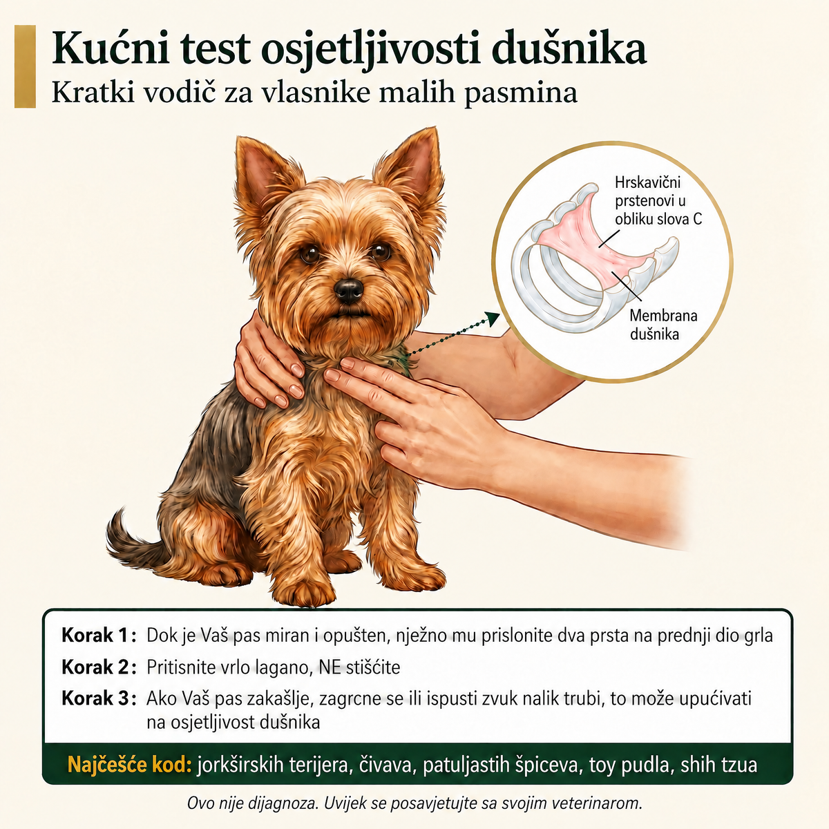 Zalogaji za dišne puteve pasa Breezly - BRZ-HR
