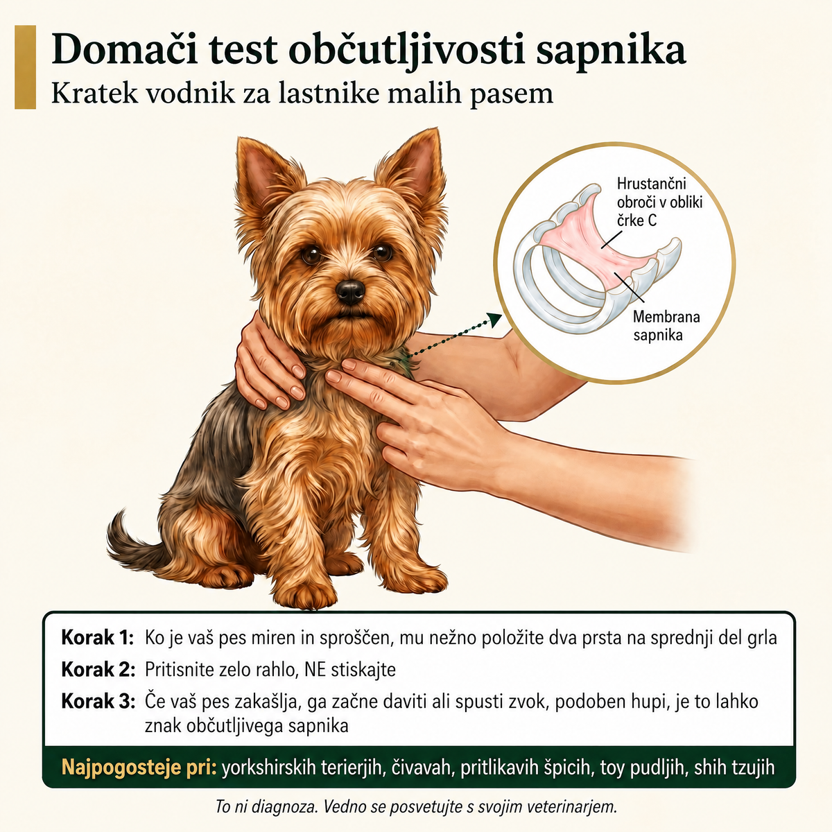 Priboljški za dihala psov Breezly - BRZ-SI