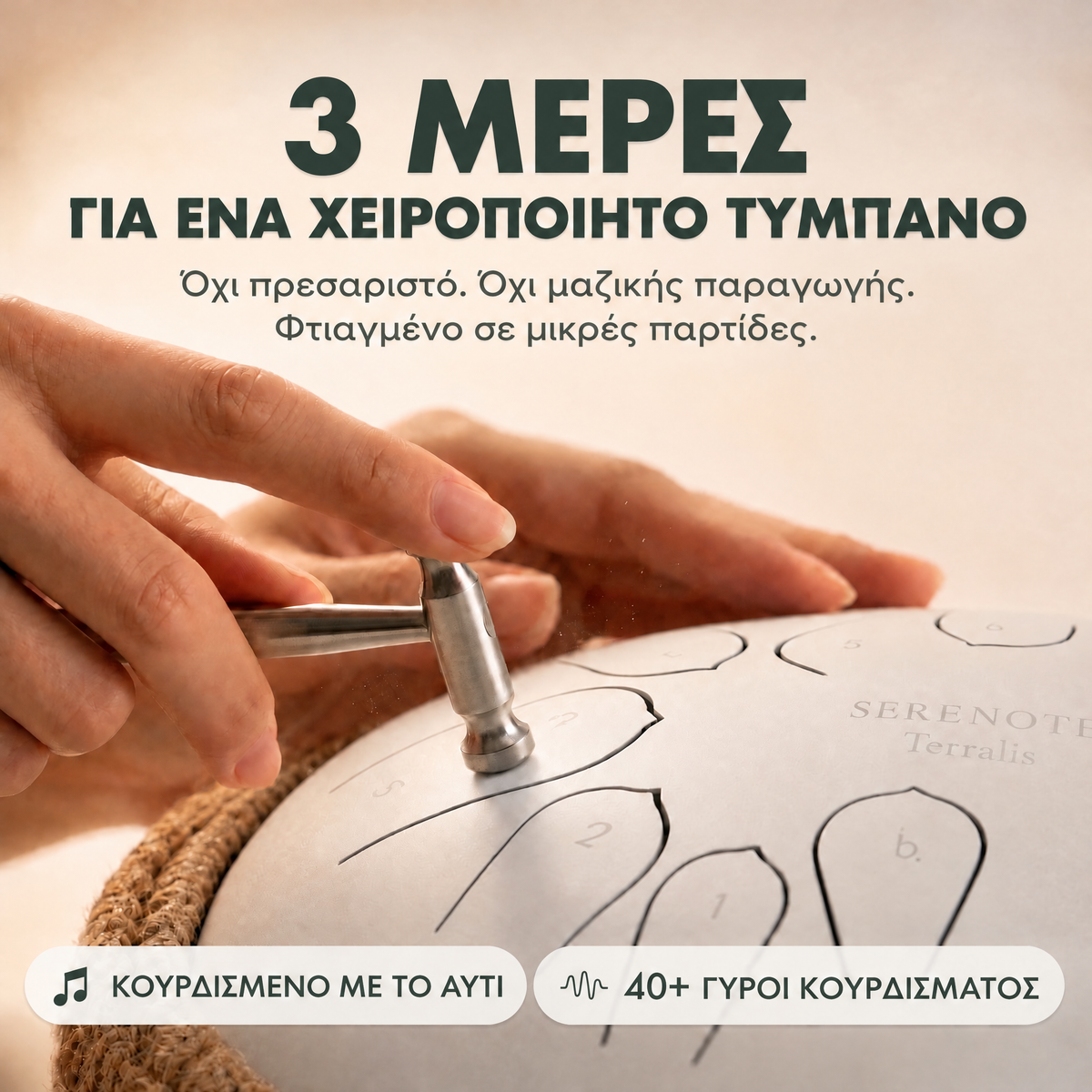 Τύμπανο με γλωσσίδια Serenote της Terralis