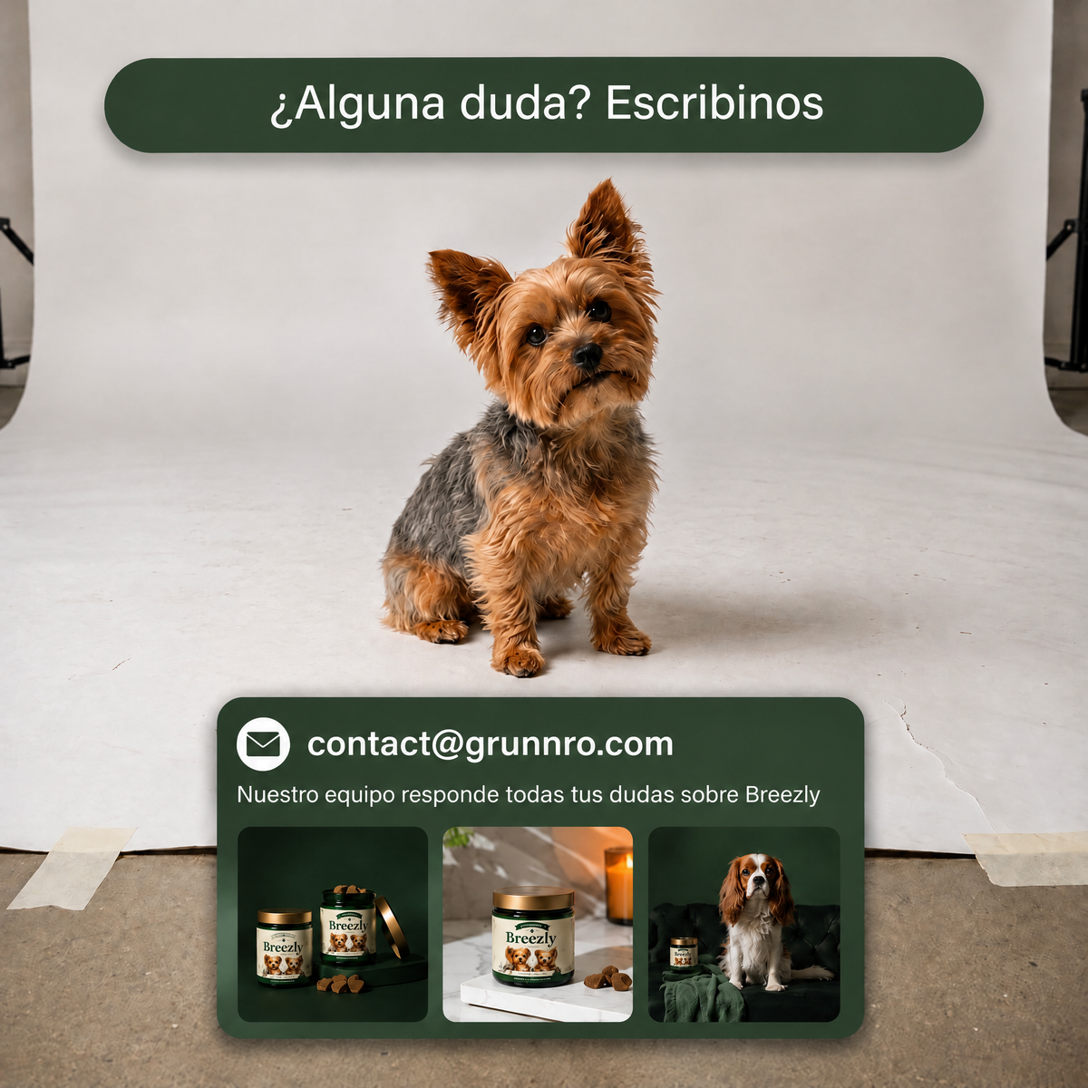 Bocados respiratorios para perros Breezly - BRZ-UY