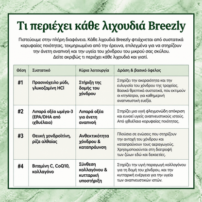 Μπουκιές αναπνοής για σκύλους Breezly - BRZ-CY