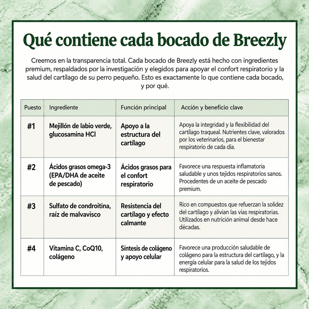 Bocados respiratorios para perros Breezly - BRZ-CR