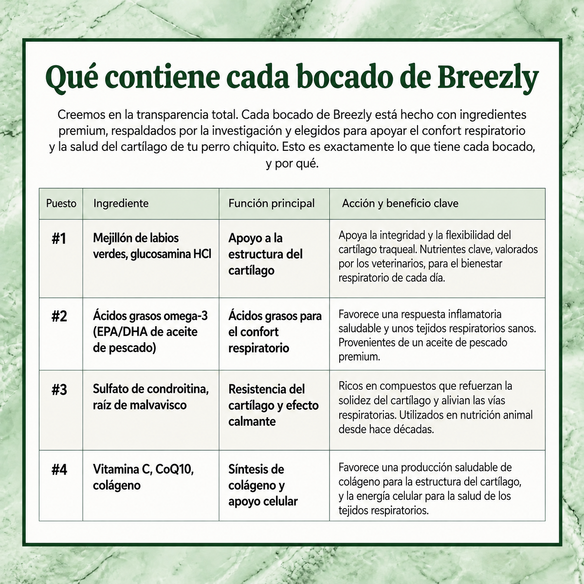 Bocados respiratorios para perros Breezly - BRZ-AR