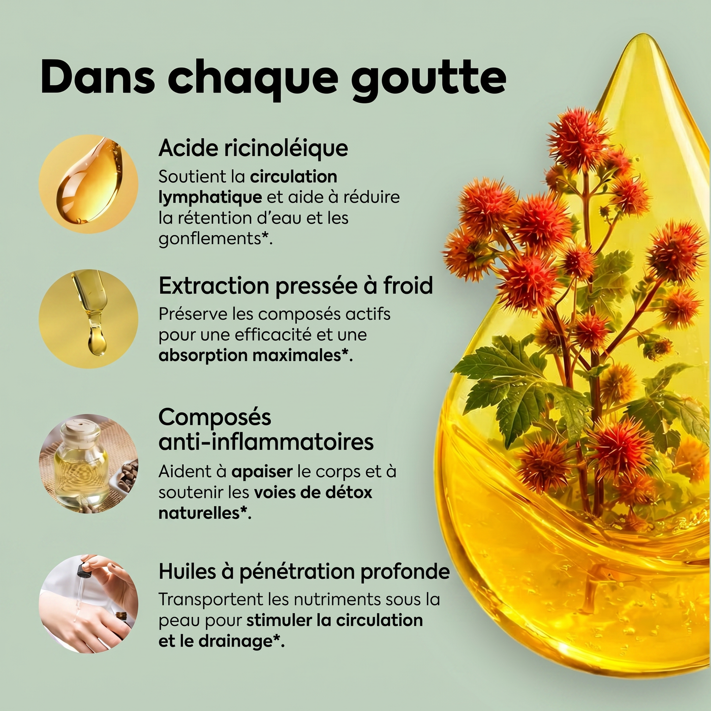 Set d'huile de ricin Grunnro™