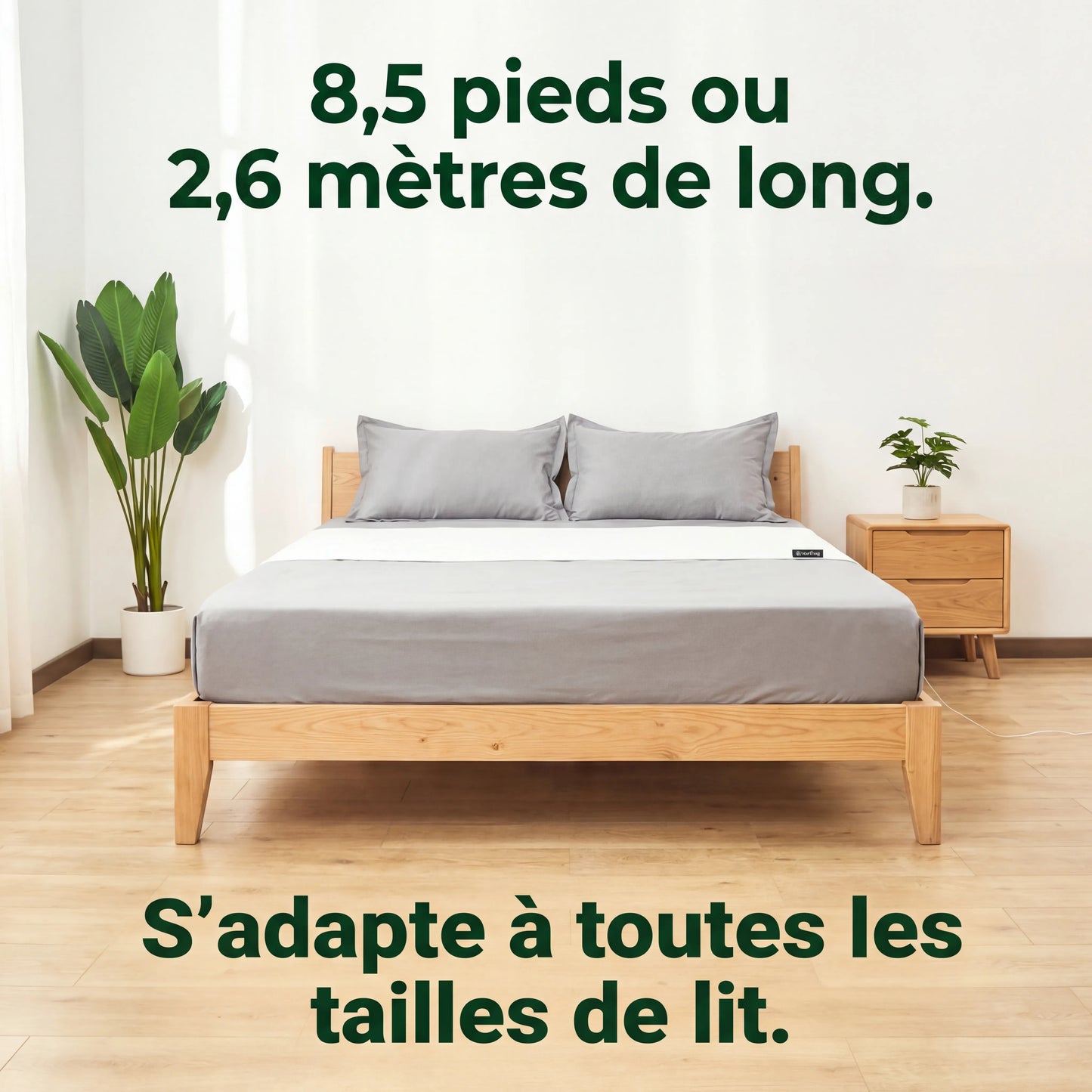 Zéro-Volt™ Drap d'Earthing